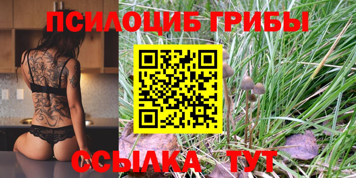Уварово  Галлюциногенные грибы MAGIC MUSHROOMS  Вход с VPN 